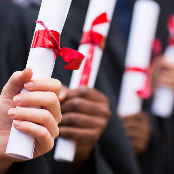 Undergraduate Research: Nurturing the Next Generation – an Interview with Reiko Yamada